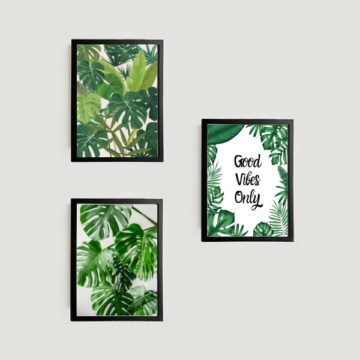 Kit 3 Quadros Folhagens Good Vibes Only