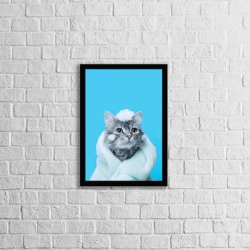 Quadro Banho de Gato