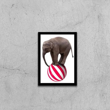 Quadro Decorativo Elefante em Cima da Bola