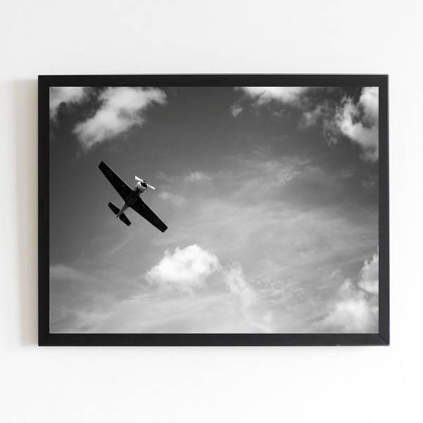 Quadro Fotografia Avião Voando
