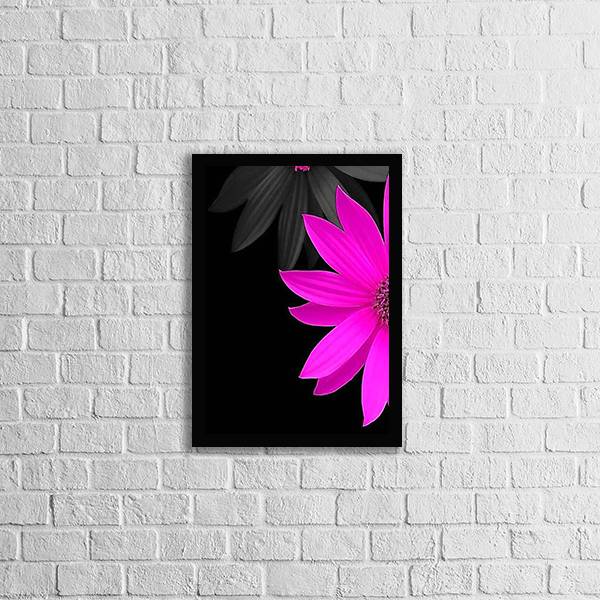 Quadro Fotografia Meia Flor Rosa