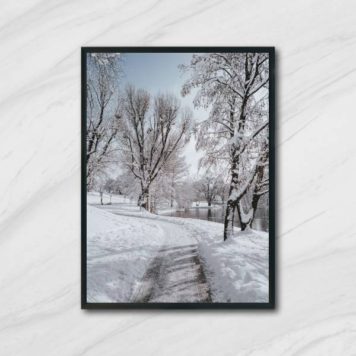 Quadro Fotografia Paisagem com Neve