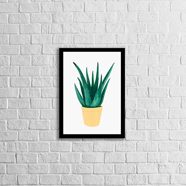 Quadro Vaso Espada de São Jorge
