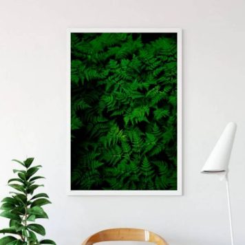 Quadro Fotografia Samambaias - Image 2