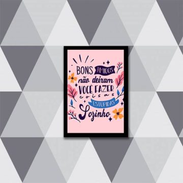 Quadro Amigos e Coisas Estúpidas
