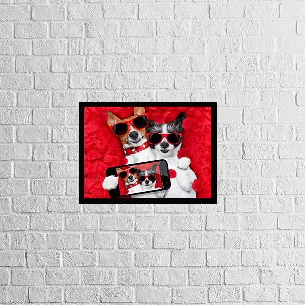 Quadro Selfie Gatinho e Cachorrinho
