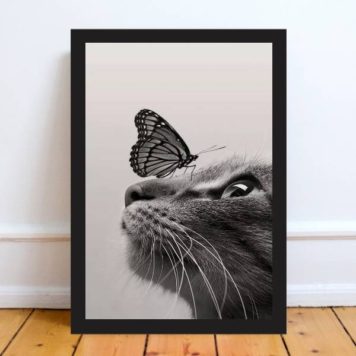quadro decorativo com fotografia preta e branca de gato e borboleta