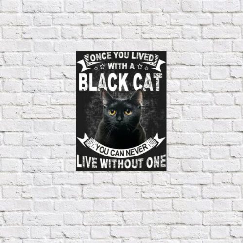 Placa Decorativa Gato Black Cat