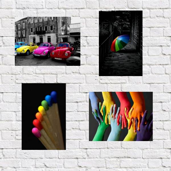 Kit 4 Placas Decorativas Fotos Coloridas