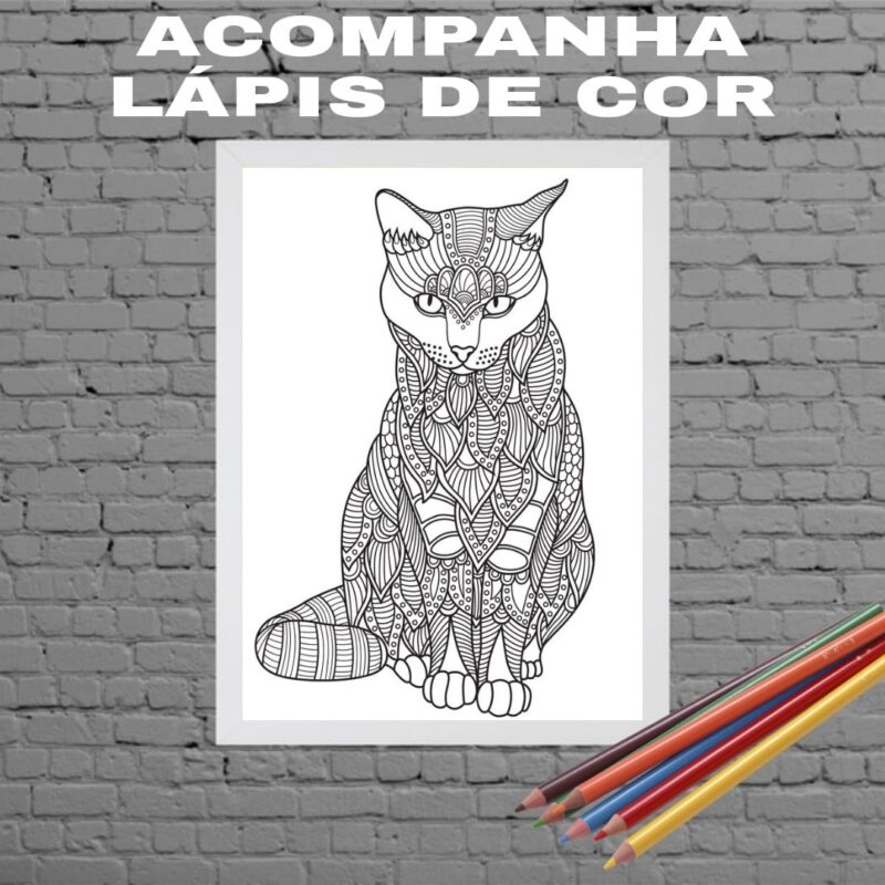 Quadro Decorativo Para Colorir Gato