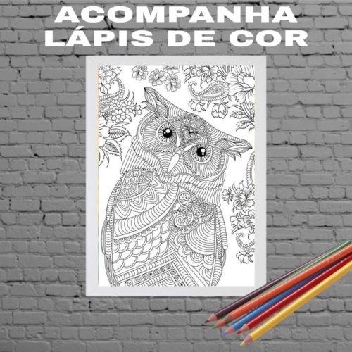 Quadro Decorativo Para Colorir Coruja