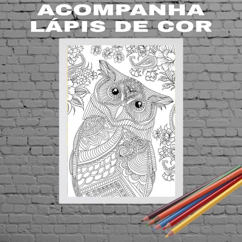 Quadro Decorativo Para Colorir Coruja