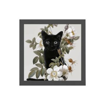 Quadro Gato Preto Com Flores