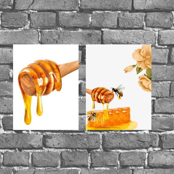 Kit 2 Placas Decorativas Abelhas Com Mel
