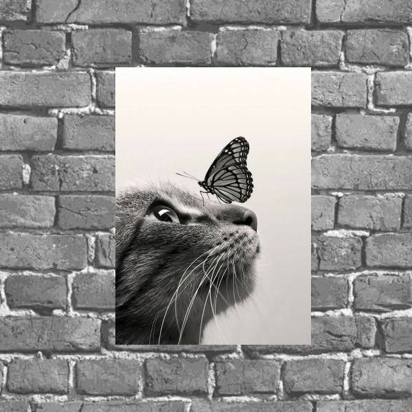 Placa Decorativa Foto Gato Com Borboleta