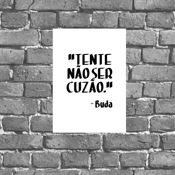 Placa Decorativa Frase Engraçada