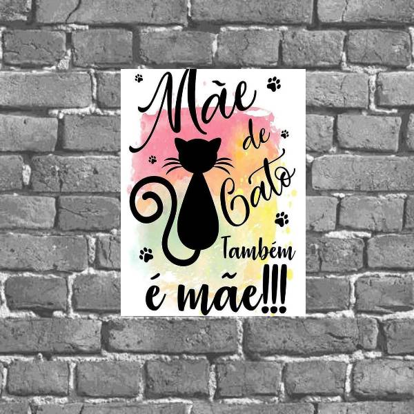 Placa Mãe De Gato Também É Mãe