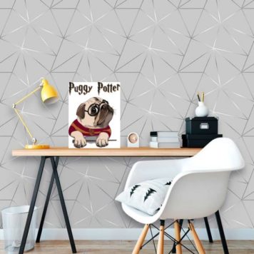 Placa Decorativa Pug Potter