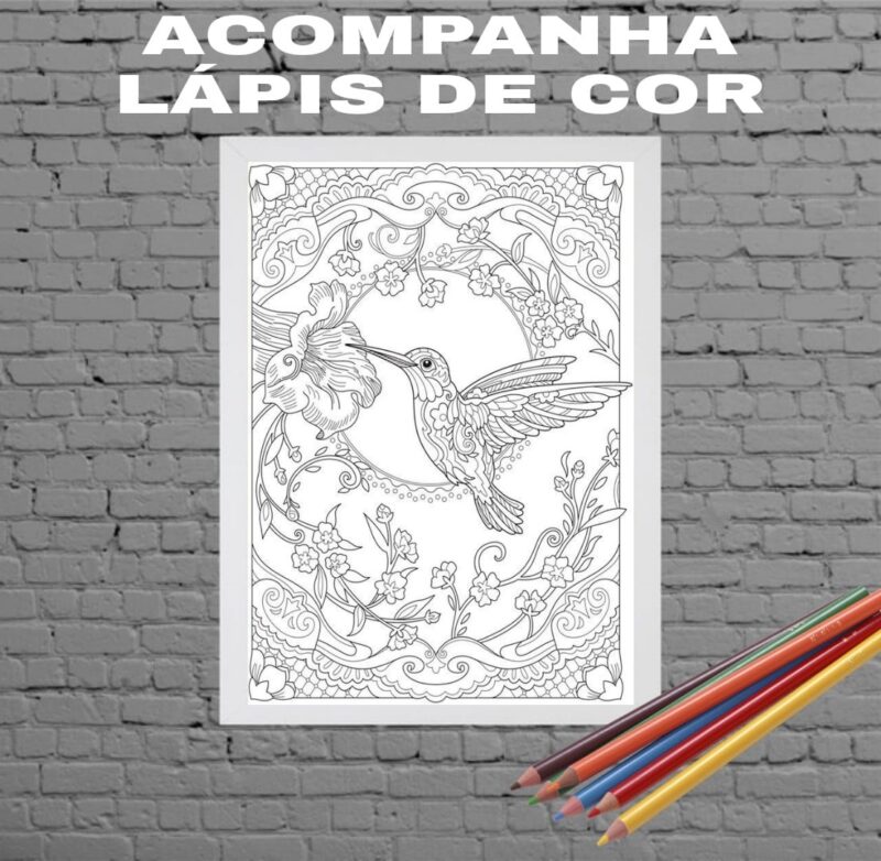 Quadro Decorativo Para Colorir Beija Flor