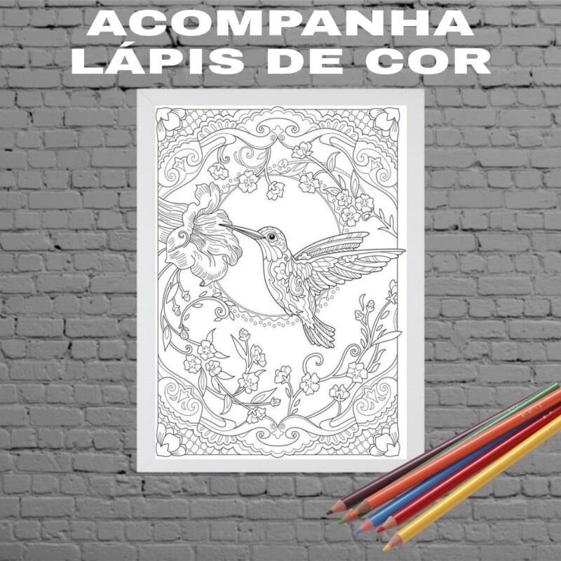 Quadro Decorativo Para Colorir Beija Flor