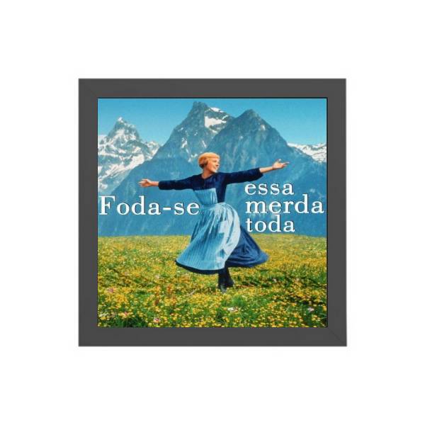 Quadro Quadrado Frase Humor Paródia
