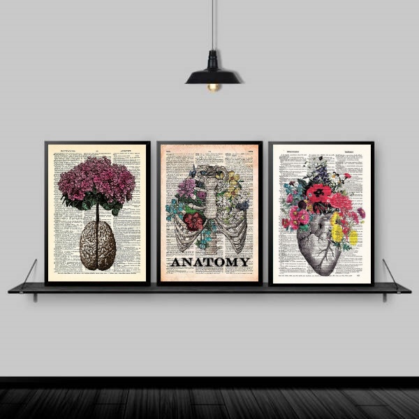 Kit 3 Quadros Medicina Anatomia Flores