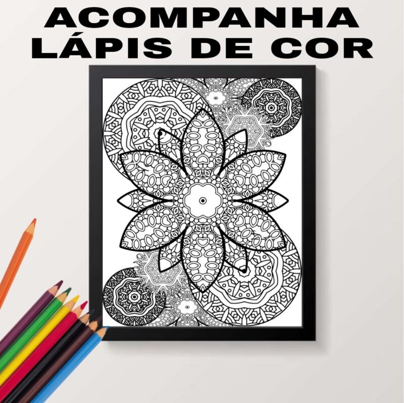 Quadro Para Colorir Mandala Floral