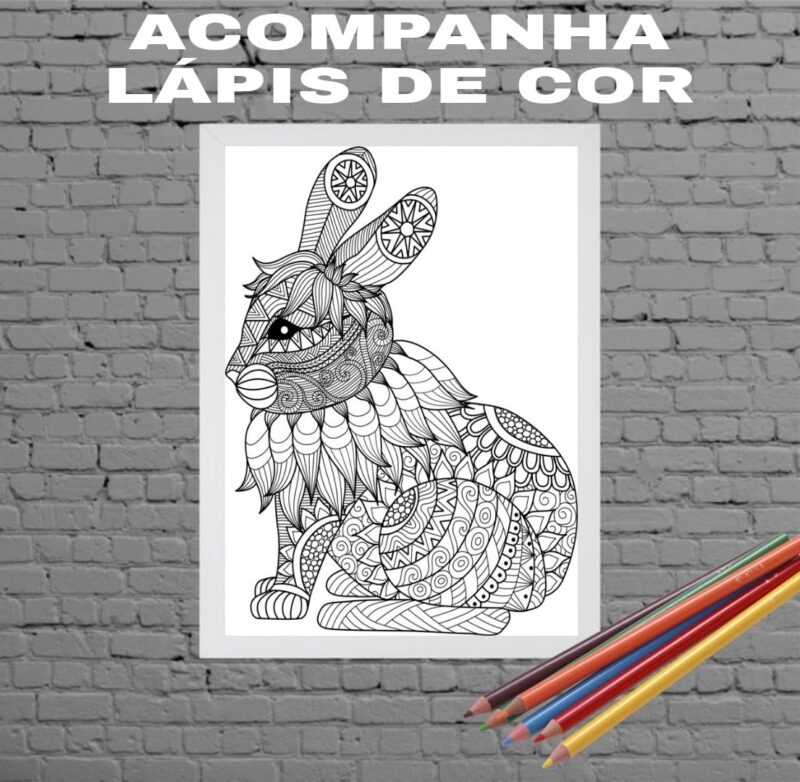 Quadro Decorativo Para Colorir Coelho