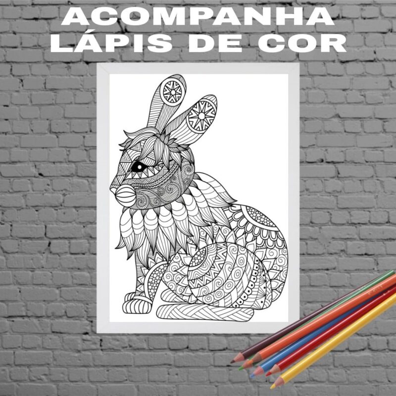 Quadro Decorativo Para Colorir Coelho