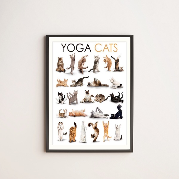 Quadro Decorativo Yoga Cats