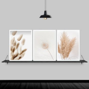 Kit 3 Quadros Flores Secas Bege