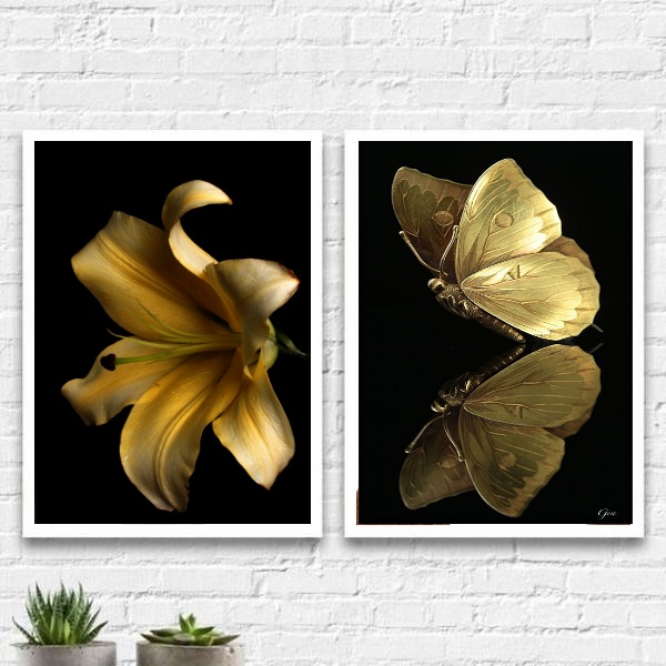 2 Quadros Flor E Borboleta Ouro E Preto