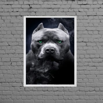 Quadro Fotografia Pitbull Olhos Verdes