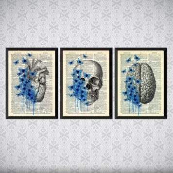 kit 3 Quadros Psicologia Cérebro Coração