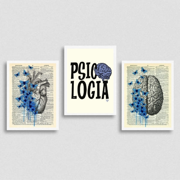kit 3 Quadros Psicologia Razão E Emoção