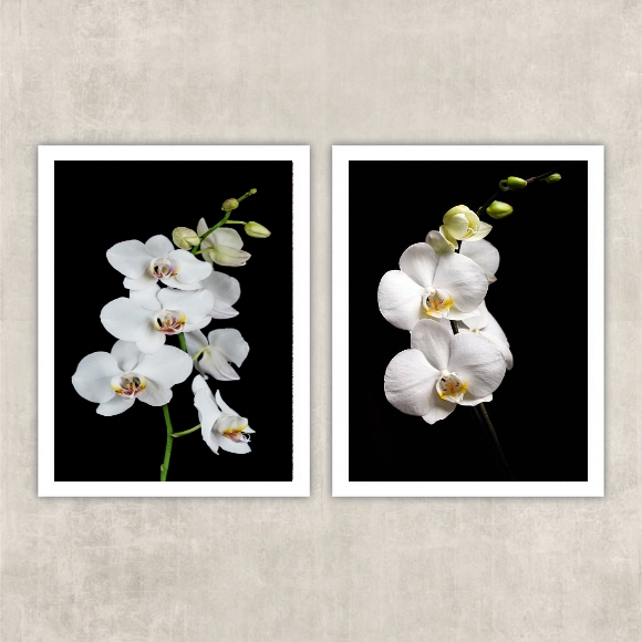 Kit 2 Quadros Fotografia Orquídeas Brancas