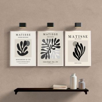 Kit 3 Quadros Decorativos Arte Moderna Folhas Matisse