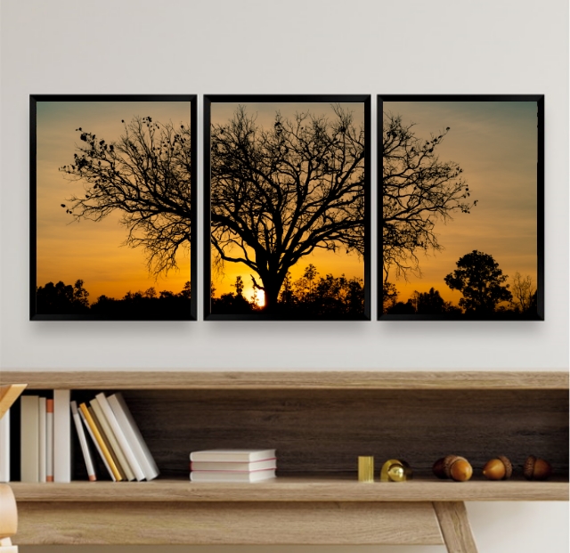 Kit 3 Quadros Paisagem Árvore Por Do Sol
