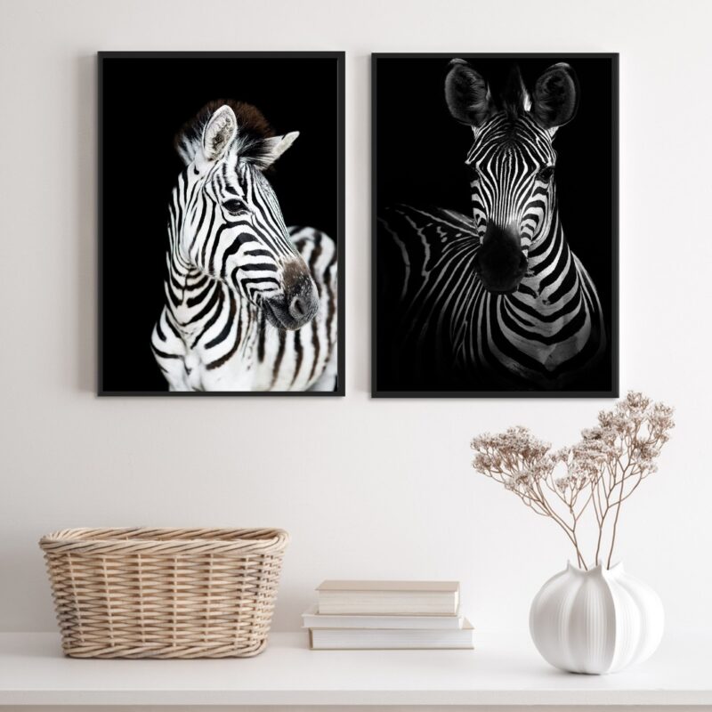 Kit 2 Quadros Fotografias Zebras