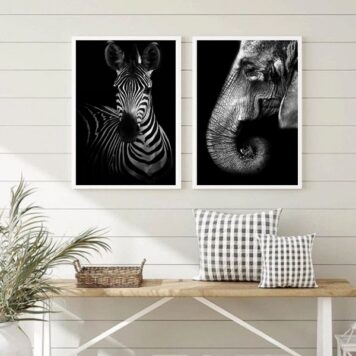 Kit 2 Quadros Fotografias Zebra E Elefante