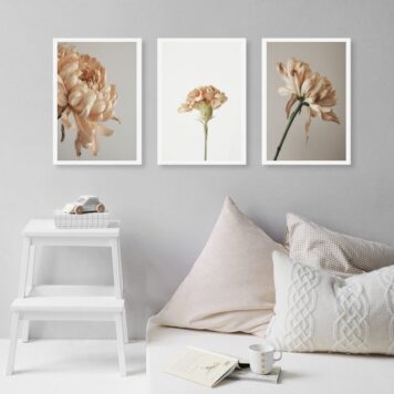Kit 3 Quadros Decorativos Elegantes Flores Bege