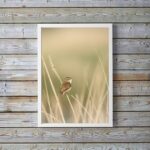 Quadro Decorativo Bege Passarinho Natureza