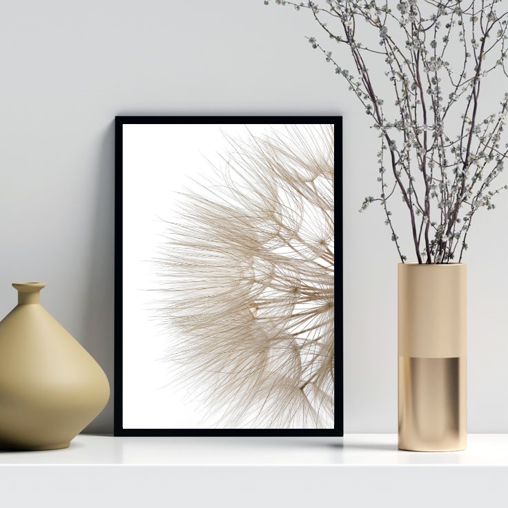 Quadro Decorativo Flor Dente De Leão Branca