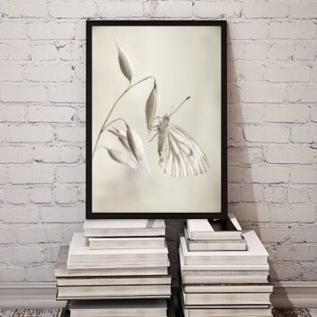 Quadro Decorativo Fotografia Branca Borboleta