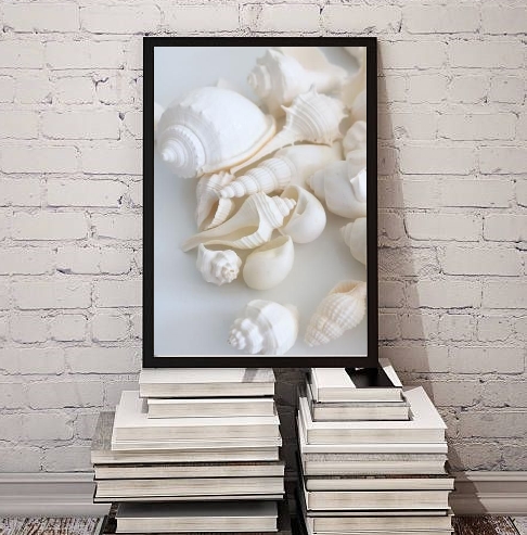 Quadro Decorativo Fotografia Branca Conchas
