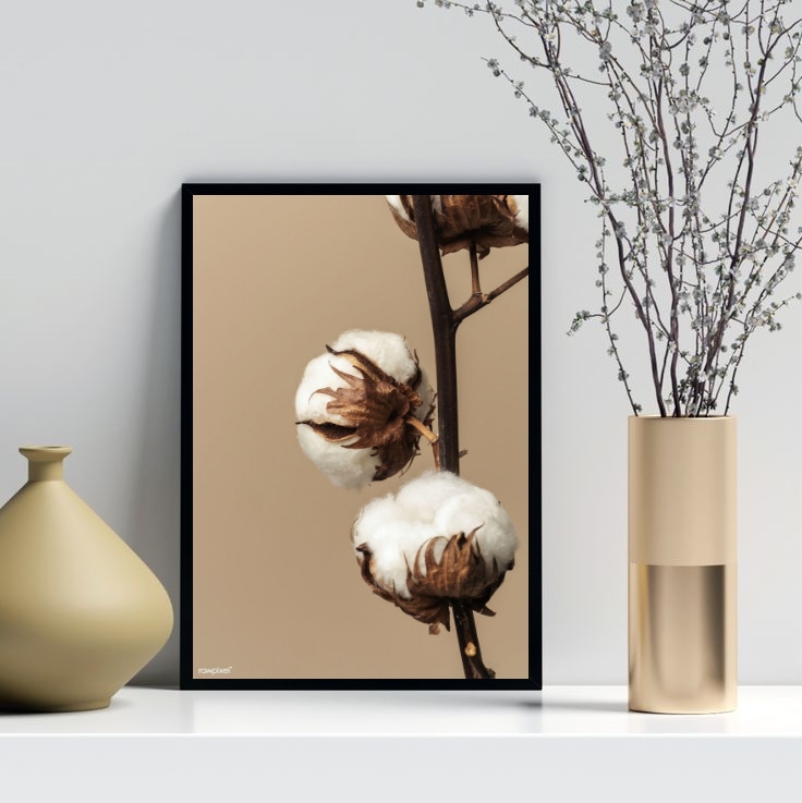 Quadro Decorativo Fotografia Flor De Algodão