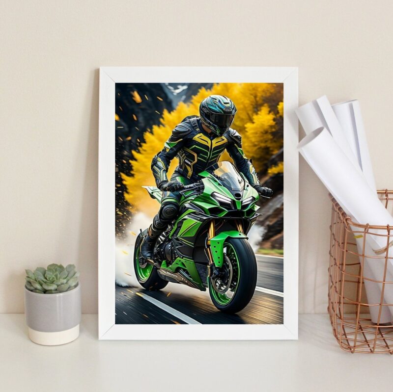 Quadro Decorativo Moto Esportiva- Motociclista