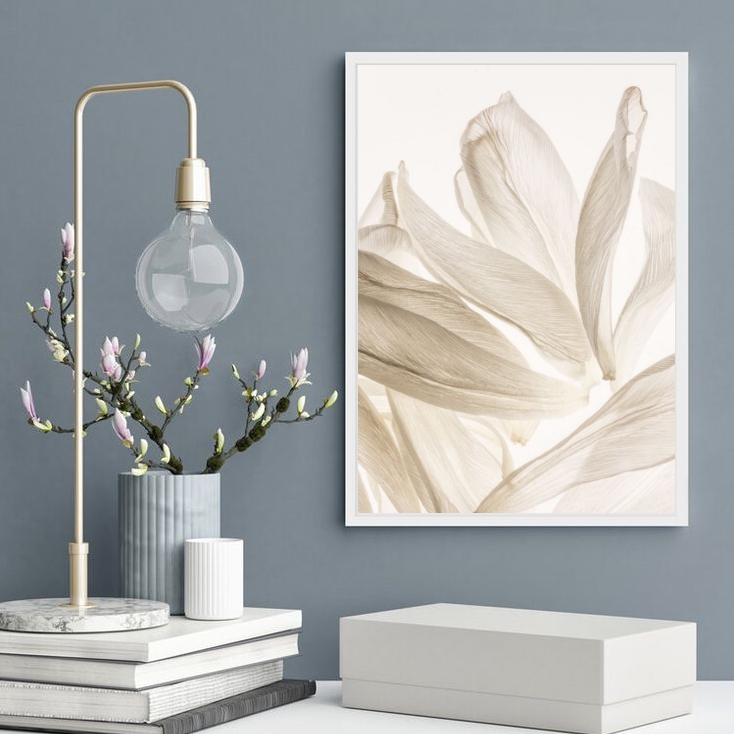 Quadro Decorativo Pétalas Brancas Fundo Branco