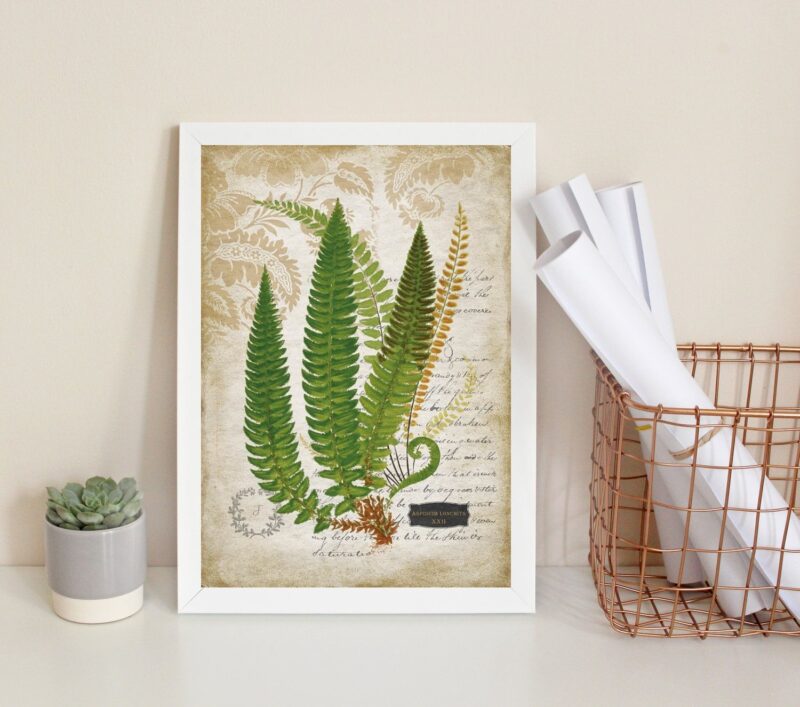 Quadro Decorativo Vintage Botânica Folhas