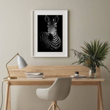 Quadro Fotografia Zebra - 60x48 Cm